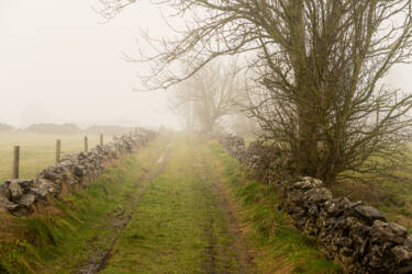 Nikon magazine - 50mm f/1.4 tried and tested 