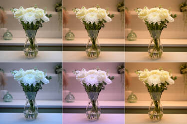 Nikon magazine - camera 101 White balance