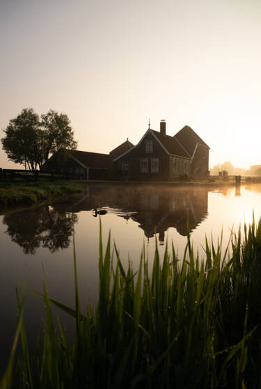 Images for Nikon magazine