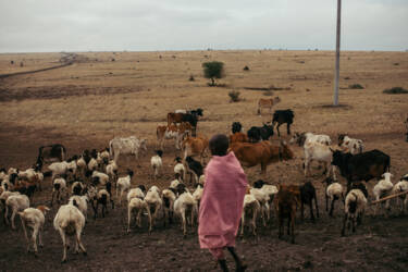 Nikon magazine - Nikon film and photo contest 2024-2025