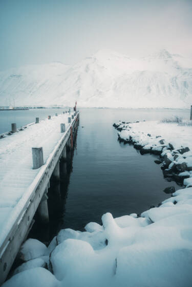 Nikon magazine - Norris Niman using the NIKKOR Z 24-70mm f/2.8 S II for video